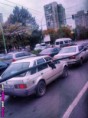 /album/srandovni-a-hloupe-napady/how-to-transport-a-long-hose-jpg/